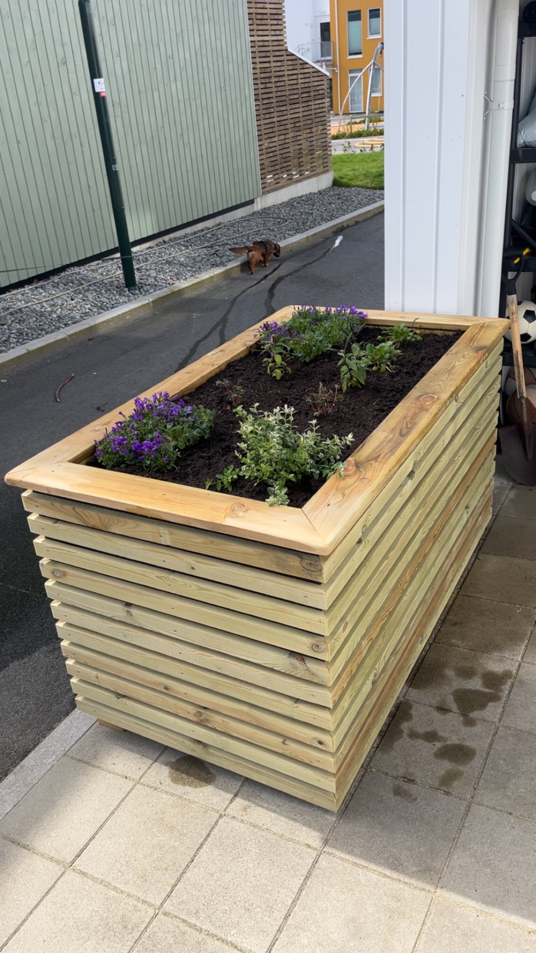 Spesialbygd plantekasse i trykkimpregnert tre med blomster og krydderurter