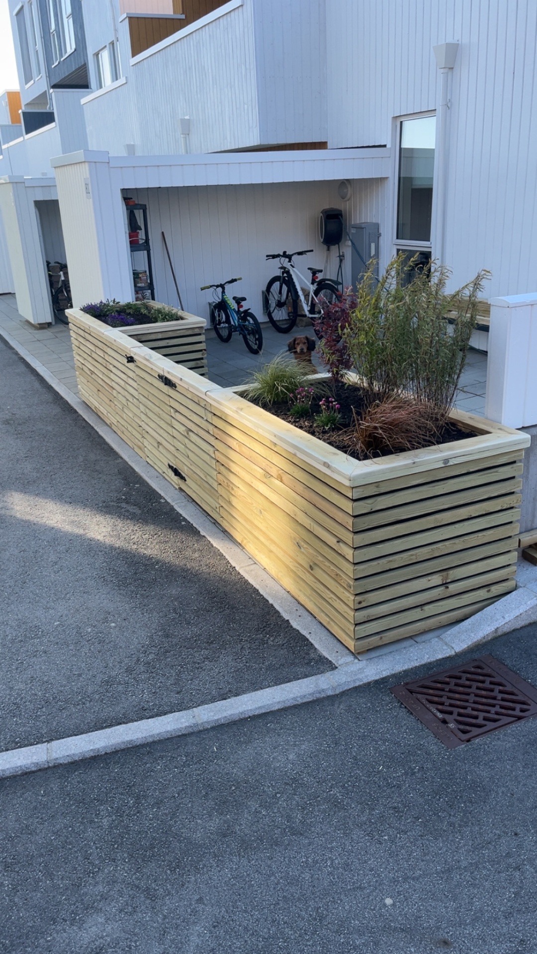 Detaljbilde av spesialbygde plantekasser med beplantning ved inngangspartiet